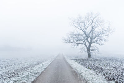 Road amidst bare trees against sky during winter