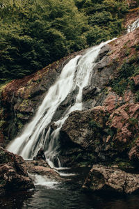 Scenic view of waterfall in forest