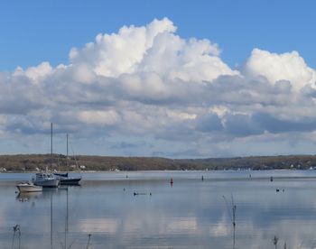 Sailboats in marina