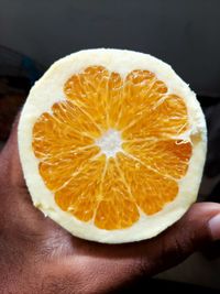 citrus