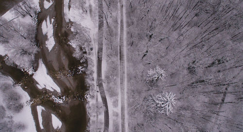 Close-up of frozen trees during winter