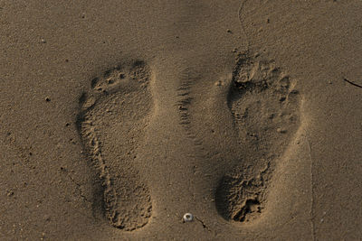 Leaving footprints