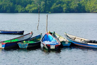 Boats moored in sea