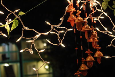 Low angle view of illuminated tree at night