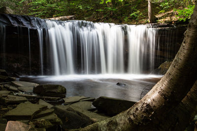 Scenic view of waterfall in forest