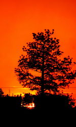 Silhouette of trees against sky at sunset