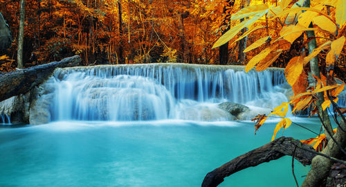 Scenic view of waterfall in forest during autumn