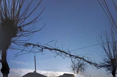 Low angle view of bare trees against clear sky