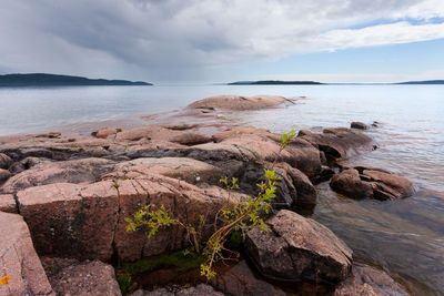 Rocks on sea shore against sky