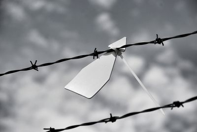 Close-up of barbed wire