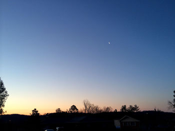 Scenic view of trees against clear sky at sunset