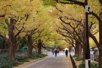 People walking on footpath in park during autumn