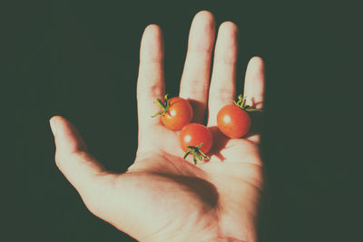 Close-up of hand holding cherry tomatoes