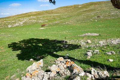 Scenic view of grassy field by mountain against sky