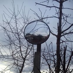 Low angle view of bare trees against sky