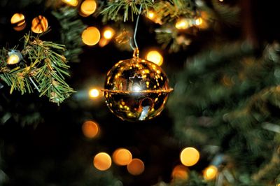 Close-up of illuminated christmas tree at night