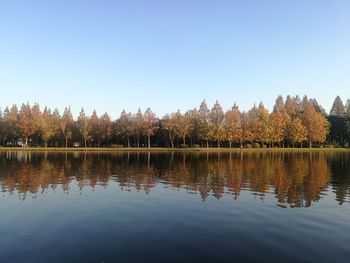 Scenic view of lake against clear sky during autumn