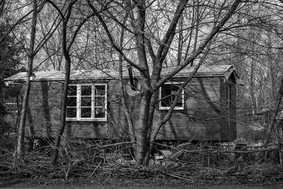 Abandoned house against bare trees