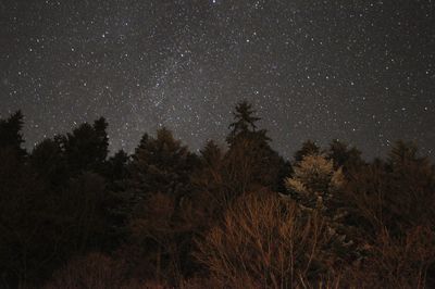 Low angle view of star field against star field