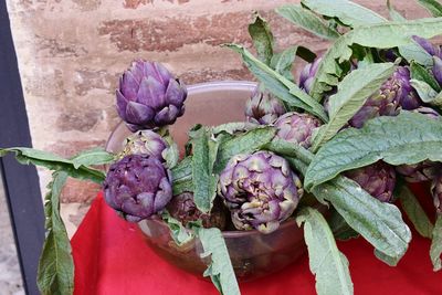 High angle view of purple flowers in container