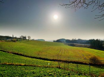 Scenic view of agricultural field against sky