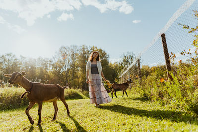 Two goats grazing on a free-range pasture with a woman on a tranquil eco-farm