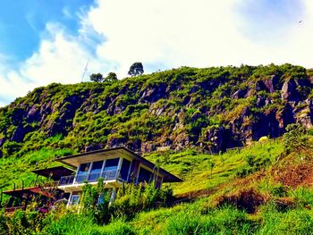 Houses on grassy field