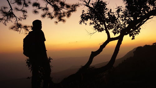 Silhouette man standing by tree against orange sky