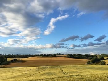Scenic view of agricultural field against sky