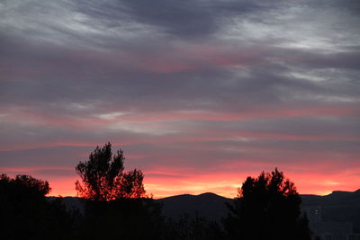 Silhouette trees against sky at sunset
