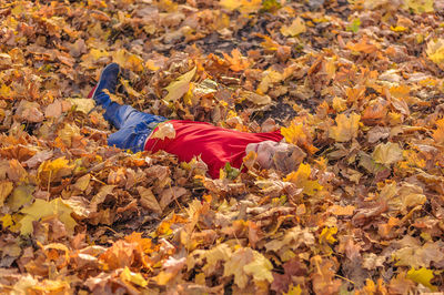 Person lying down on land during autumn