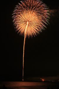 Low angle view of firework display at night