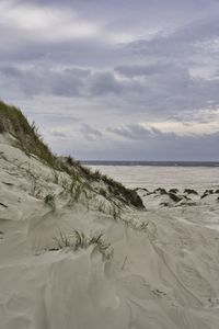 Scenic view of beach against sky