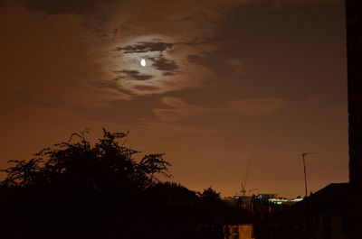 Trees against sky at night