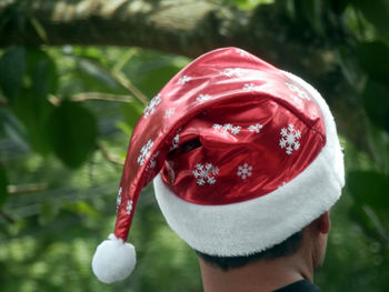 Rear view of man wearing santa hat against plants