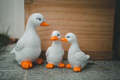 Close-up of stuffed toys