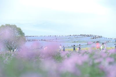 People on field against sky