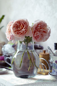 Close-up of rose in vase