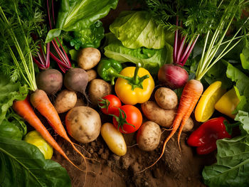 vegetable