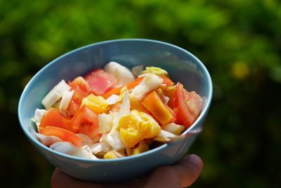 Close-up of hand holding fruit salad in bowl