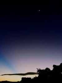 Low angle view of silhouette trees against sky at night