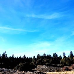 Scenic view of landscape against blue sky