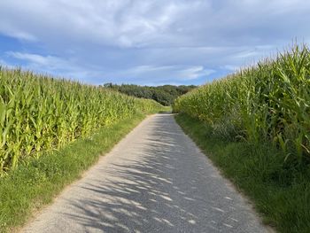 Dirt road amidst plants on field against sky