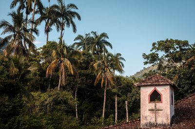 Palm trees by building against clear sky