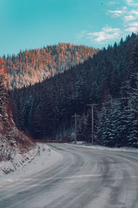 Road amidst trees against sky during winter
