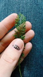 Close-up of hand holding plant