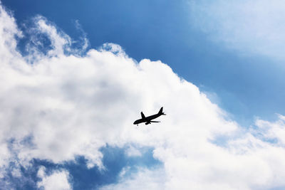 Low angle view of bird flying in sky