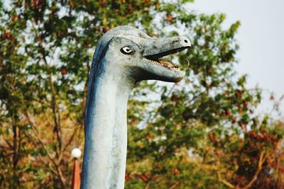 Close-up of a bird