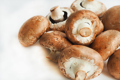 Close-up of mushrooms