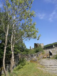 Rear view of people sitting by plants against sky